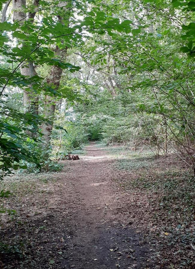 Haramara ferielejligheder Vester-Skerninge Exterior foto