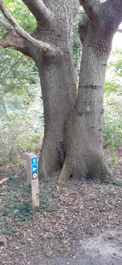 Haramara ferielejligheder Vester-Skerninge Exterior foto